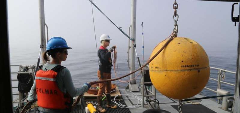 Vessel noise present year-round at Cordell Bank National Marine Sanctuary