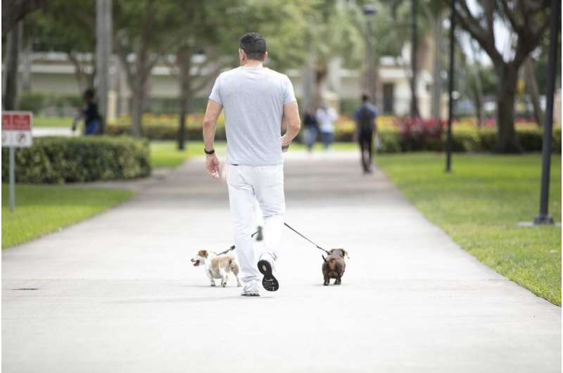 Vets walking pets: Strolls with shelter dogs may reduce PTSD symptoms in military veterans