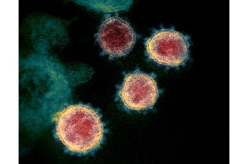 Virus test results in minutes? Scientists question accuracy