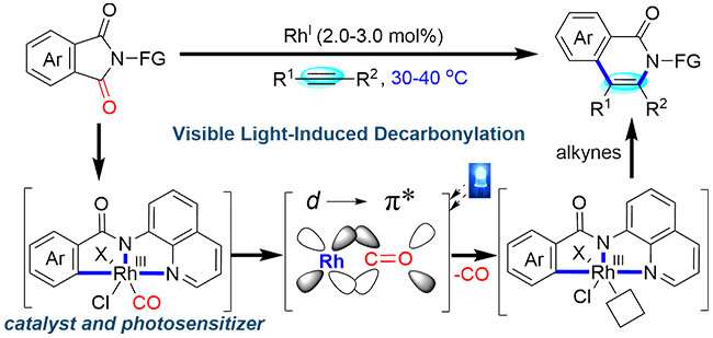 Visible light-induced bifunctional rhodium catalysis developed for decarbonylative coupling of imides with alkynes