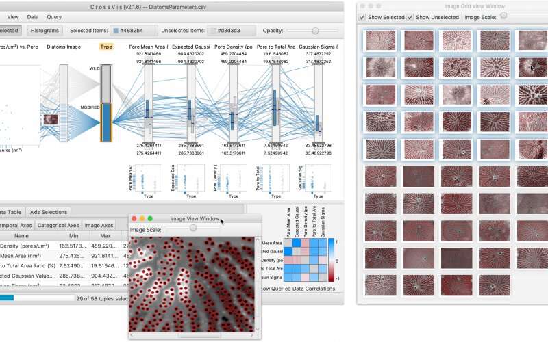 Visual analytics tool plucks elusive patterns from elaborate datasets