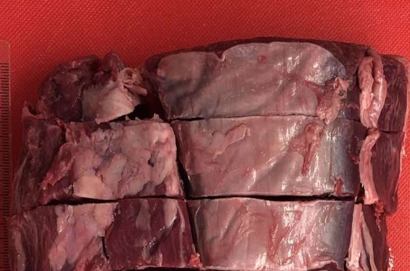 Wagyu beef passes the taste test of science