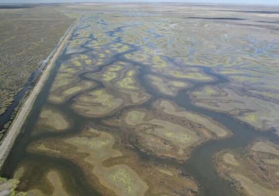 Waterbird numbers and wetland areas declining despite temporary relief: aerial survey