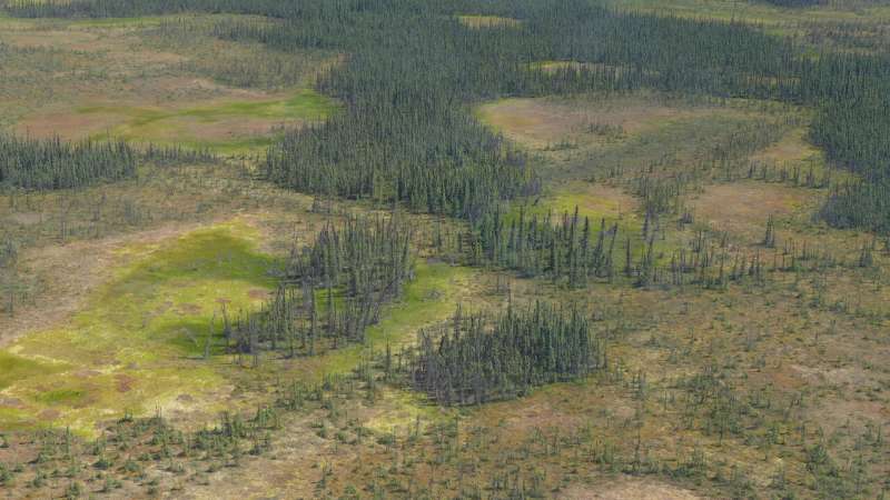 Water loss in northern peatlands threatens to intensify fires, global warming