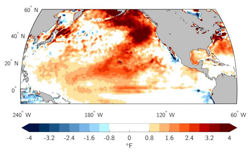 Weak winds in the Pacific drove record-breaking 2019 summertime marine heat wave