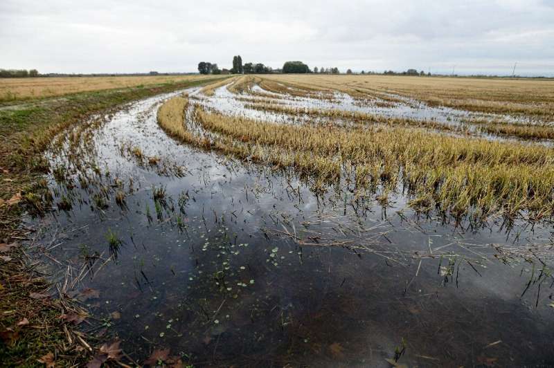 Weekend storms dealt a severe blow to Europe's biggest rice producer, flooding the marshy area where 80 percent of Italy's rice 