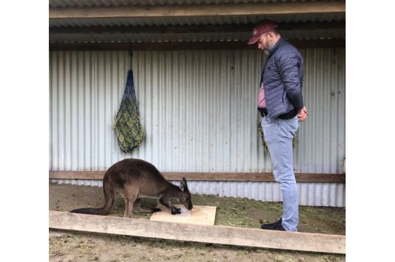 What’s up Skip?  Kangaroos really can ‘talk’ to us