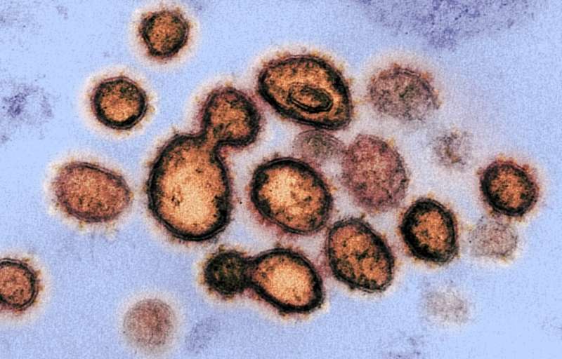 While their origins are uncertain, viruses have left their imprint on nearly all life on Earth, including humans