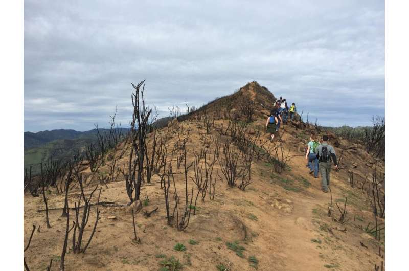 Wildfire perceptions largely positive after hiking in a burned landscape