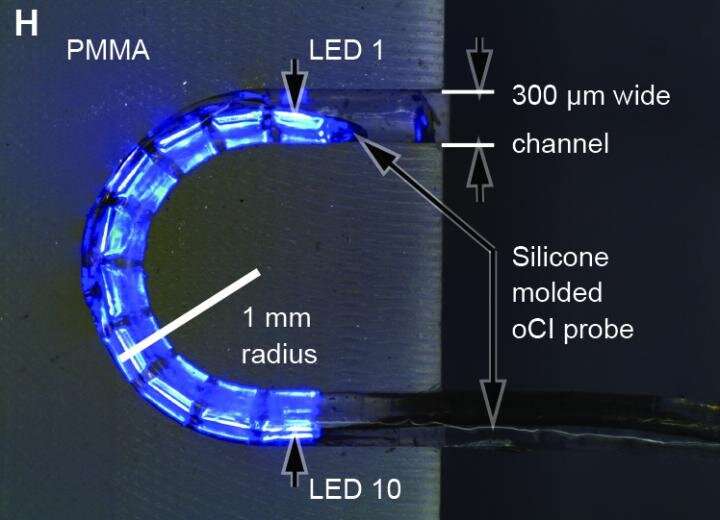 Wireless, optical cochlear implant uses LED lights to restore hearing in rodents