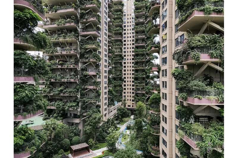 With hardly any residents to care for them, the plants at Chengdu's Qiyi City Forest Garden have overrun the towers