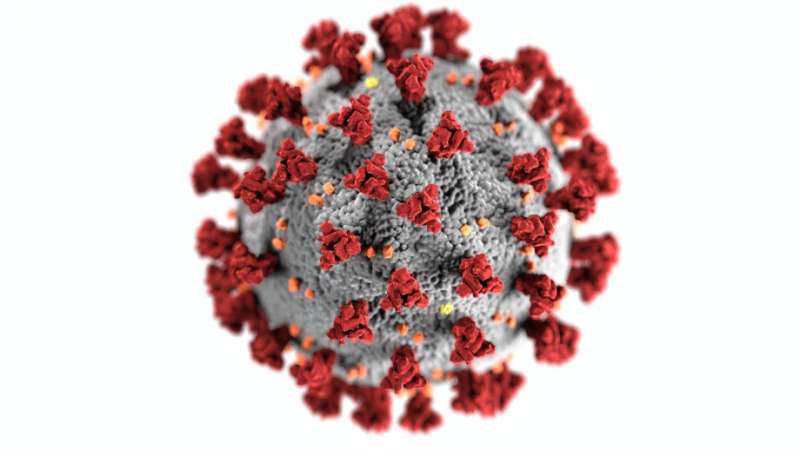 Work and wellbeing bounce back during coronavirus crisis