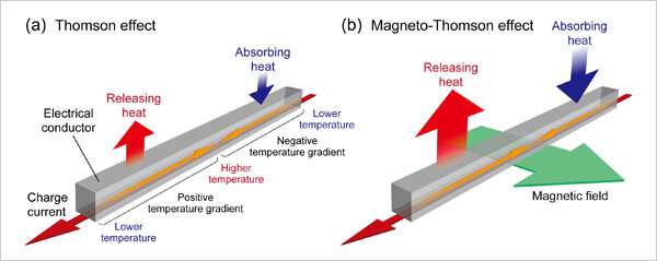 World’s first direct observation of the magneto-Thomson effect