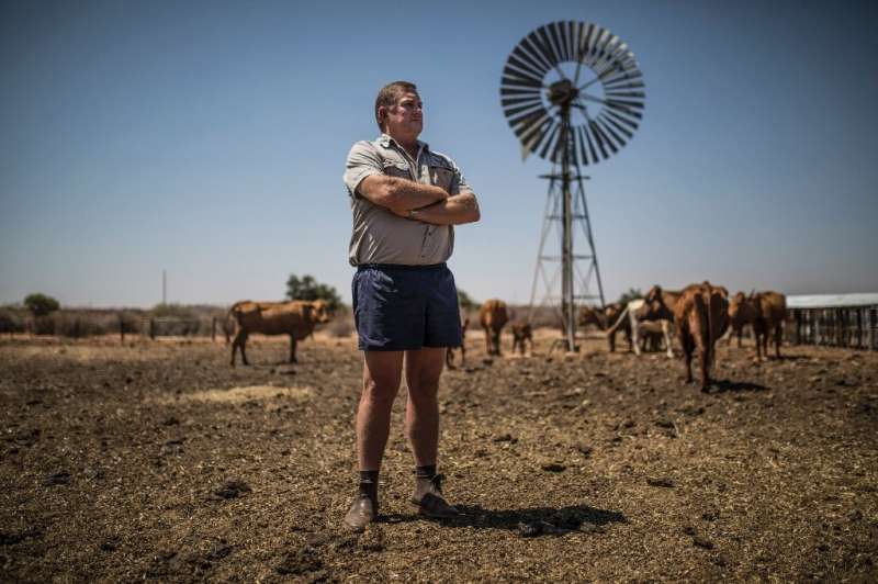 Worried: Farmer Johan Steenkamp