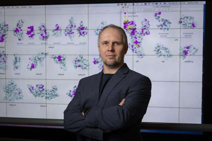 WPI researcher's paper on COVID-19 published in Viruses journal