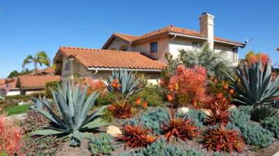 Xeriscaping saves water, adds beauty