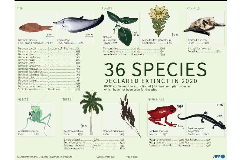 36 plant and animal species declared extinct in 2020