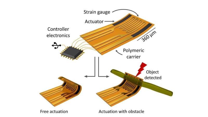 Adaptive microelectronics reshape independently and detect environment for first time