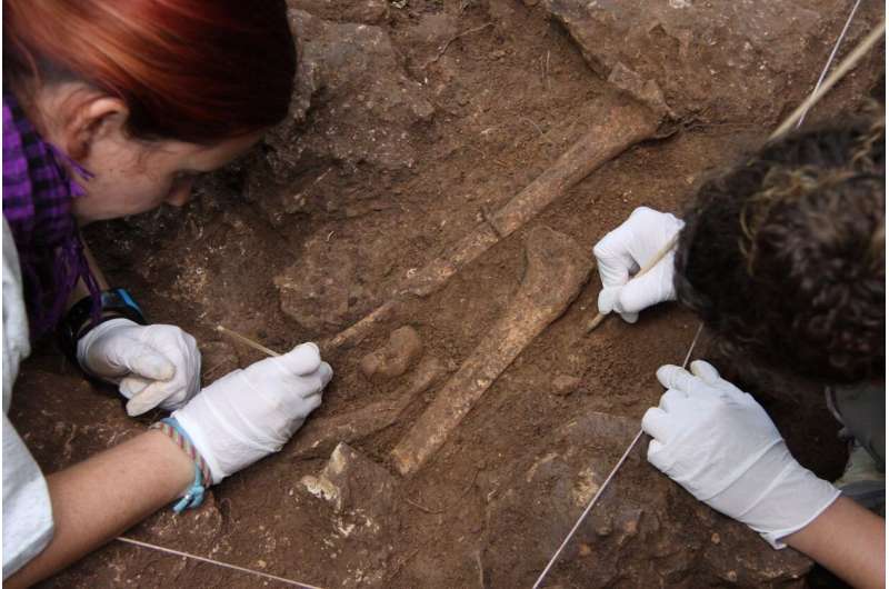 Analysis of ancient bones reveals Stone Age diet details