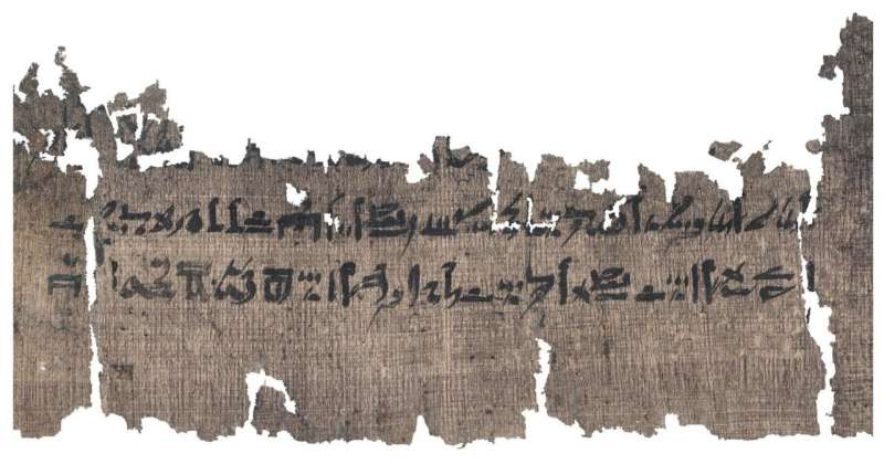 Ancient Egyptian manual reveals new details about mummification