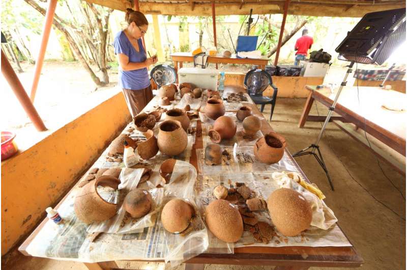 Ancient pottery reveals the first evidence for honey hunting in prehistoric West Africa