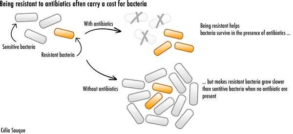 Bacteria 'shuffle' their genetics around to develop antibiotic resistance on demand