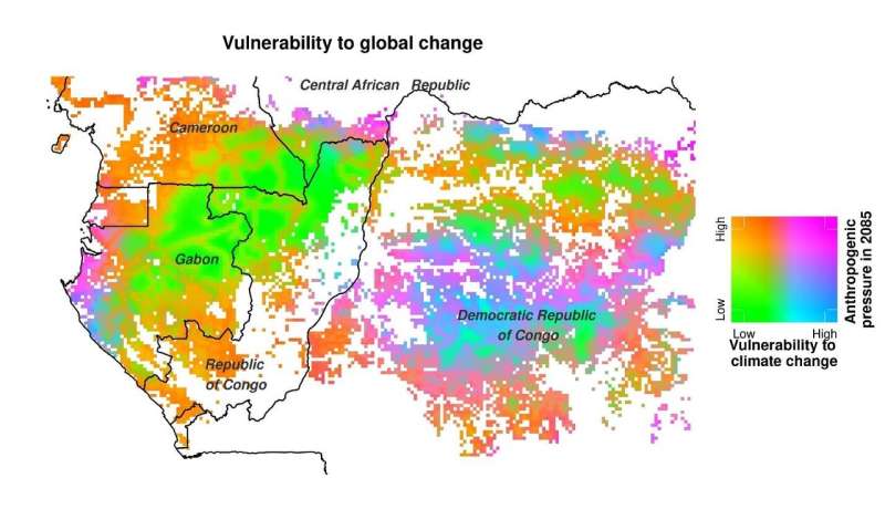 Central African forests are unequally vulnerable to global change