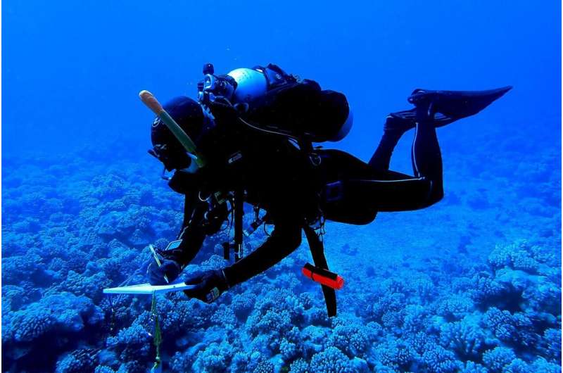 Corals may need their predators' poop