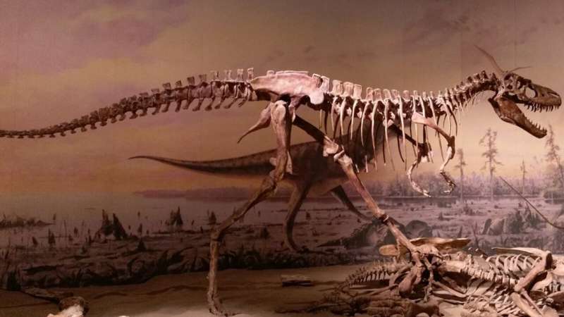 Did teenage 'tyrants' outcompete other dinosaurs?