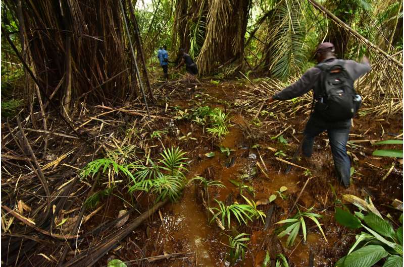 Economics of nature: mapping Liberia’s ecosystems to understand their value