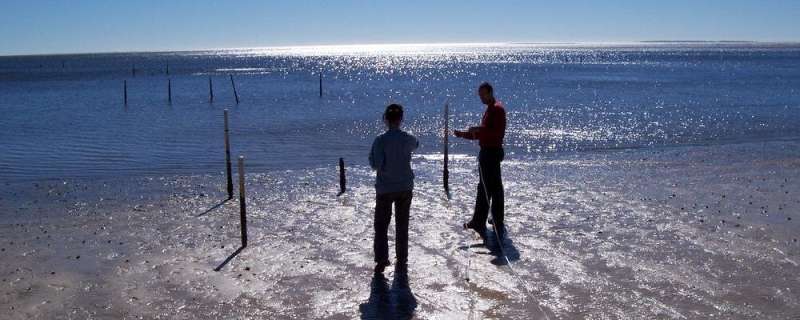 Groundwater discharge affects water quality in coastal waters