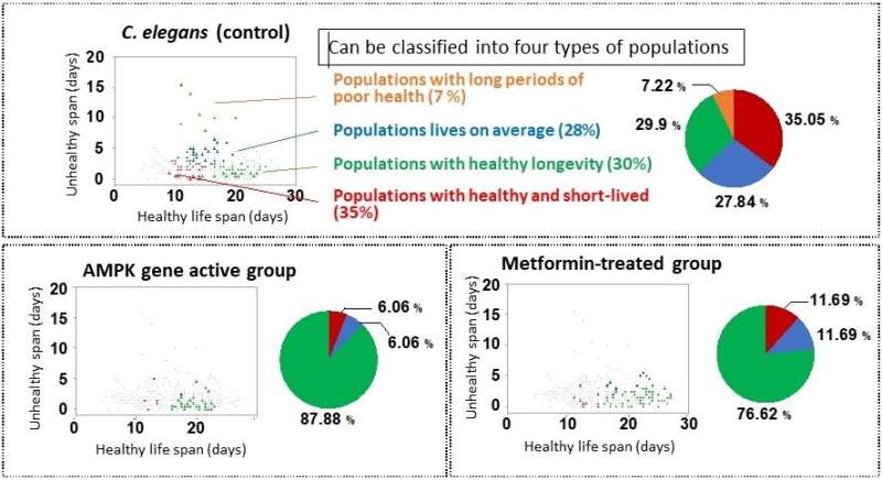 Healthy lifespan analysis using nematodes