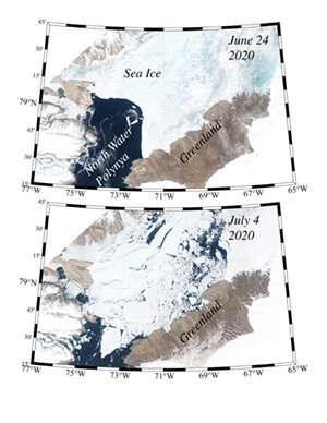 Ice arches holding Arctic's "last ice area" in place are at risk, researcher says