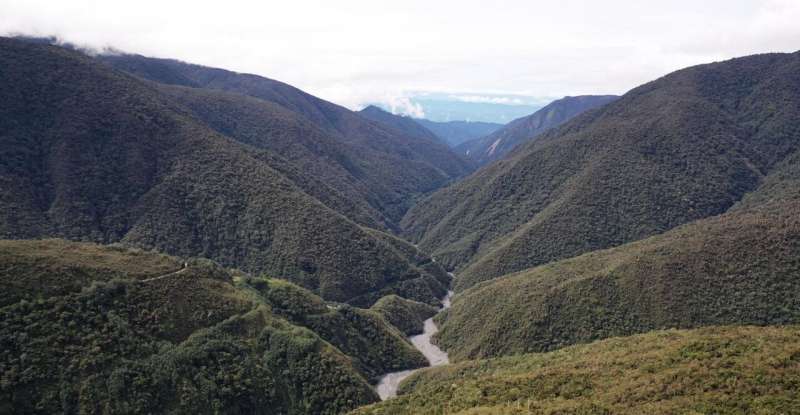 Mountain high: Andean forests have high potential to store carbon under climate change