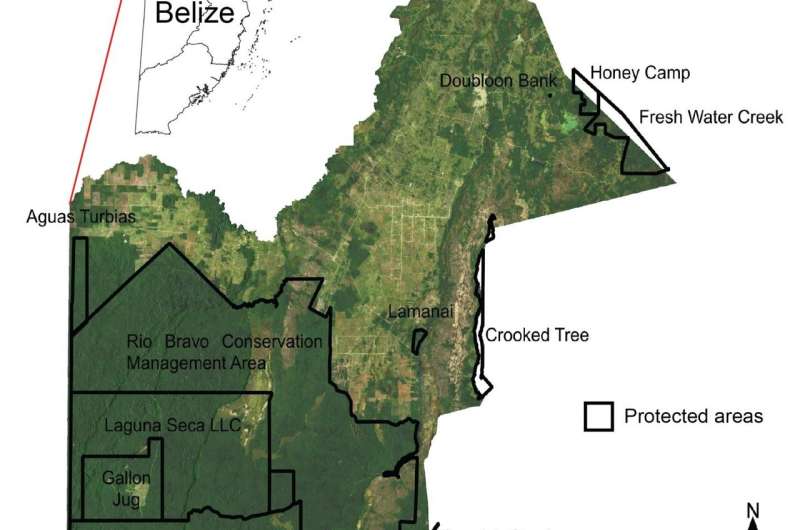 NASA images reveal important forests and wetlands are disappearing in Belize