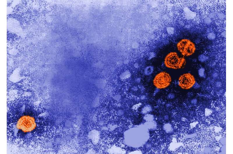 New combination therapy offers chance of healing hepatitis B