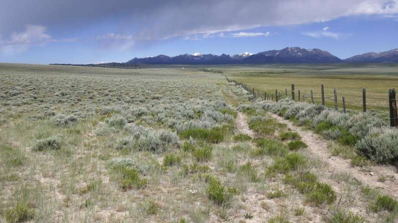 New study reveals how fences hinder migratory wildlife in the West