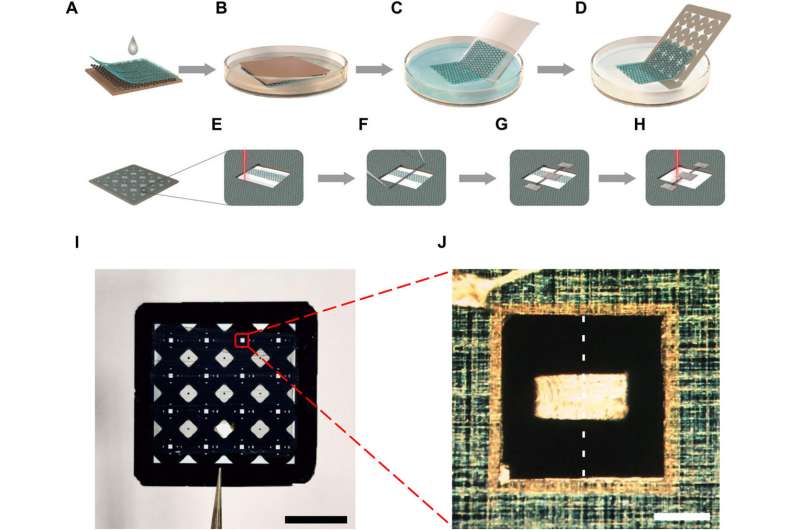 On-chip torsiebalans met femtonewton-krachtresolutie bij kamertemperatuur