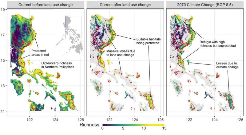 Philippine forest trees threatened by deforestation and climate change