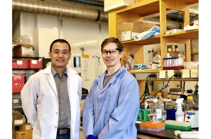 Princeton team discovers new organelle involved in cancer metastasis