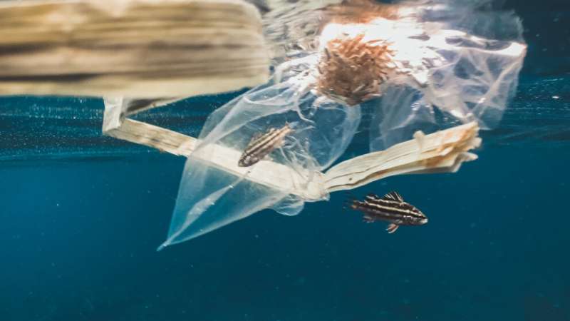 Recommendations for regional action to combat marine plastic pollution