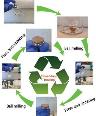 Recyclable bioplastic membrane to clear oil spills from water