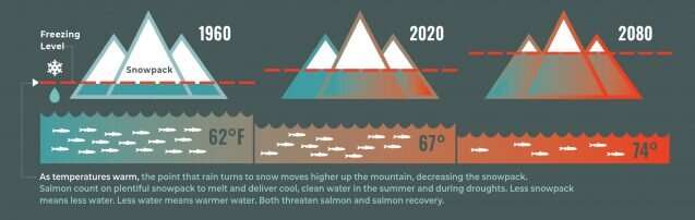 Rising water temperatures could be A death sentence for Pacific salmon
