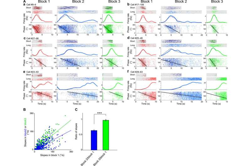 Scalable representation of time in the hippocampus