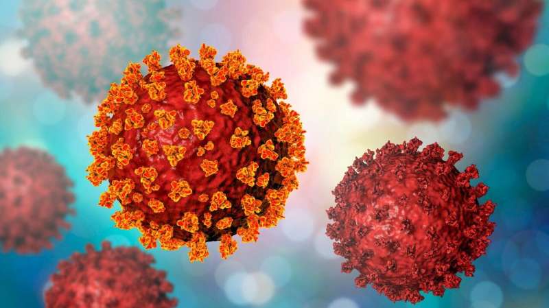 Scientists identify &quot;immune cop&quot; that detects SARS-CoV-2