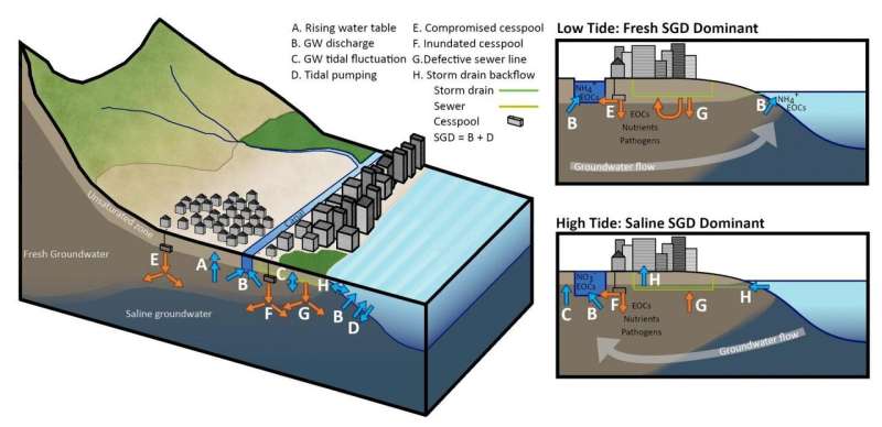 Sea-level rise drives wastewater leakage to coastal waters