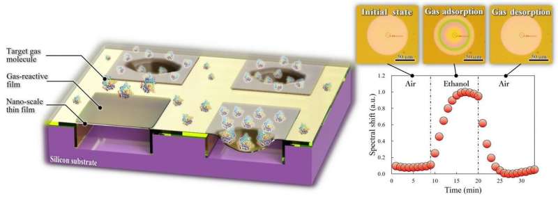 Semiconductor chip that detects exhaled gas with high sensitivity at room temperature