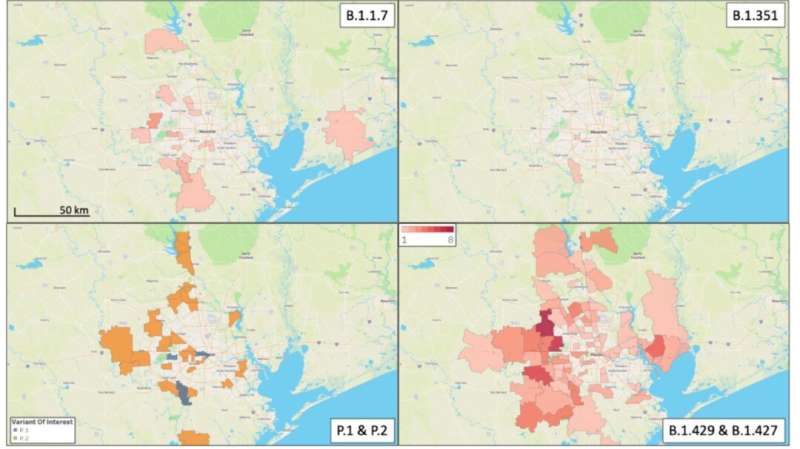 Significant spread of all coronavirus variants tracked in Houston area