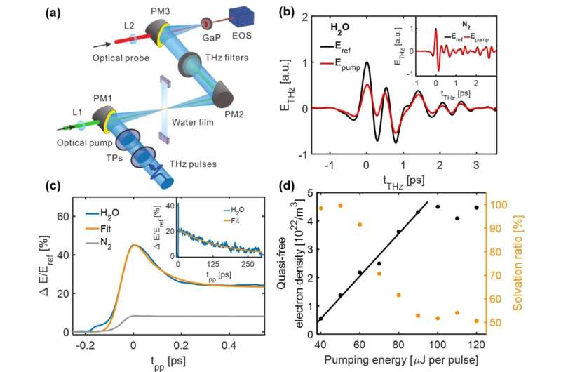 THz spectroscopy tracks electron solvation in photoionized water