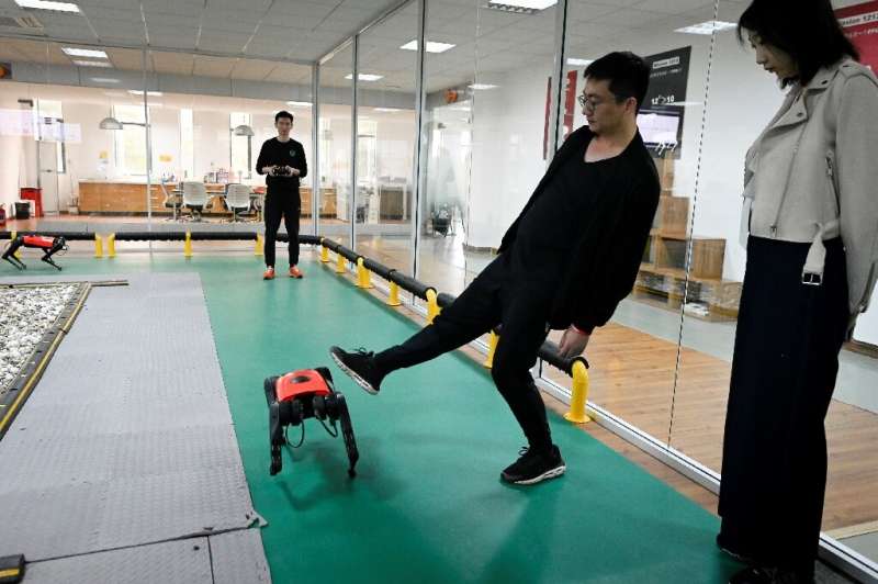 With four metal legs, it is more stable than a real dog